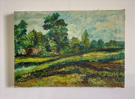 N.A. „Poljana i šumarak“, 35x24 cm