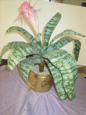 Veštački kaktus visine 47 cm 