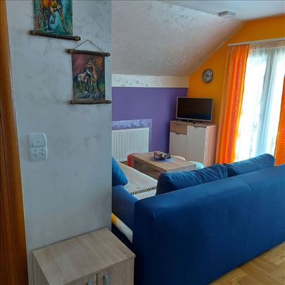 Apartman Mitrović, Zlatibor 