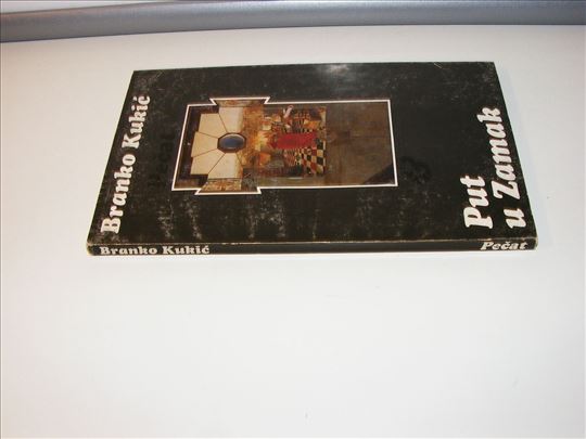 Branko Kukić - Put u zamak (eseji o Leonidu Šejki)