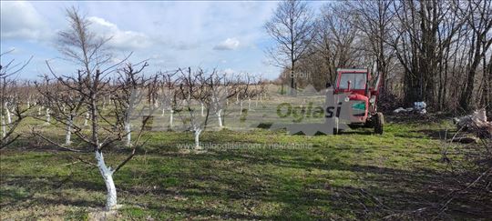 Imanje(3,8ha) Sljive 1,5ha Kuća 67kvm+Mehanizacija
