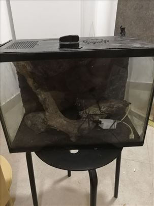 Terarijum za guštera 40x30x20