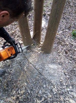 Rezanje i cepanje ogrevnog drveta
