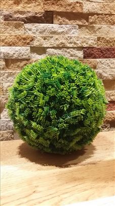 Zbun kugla loptasta tuja vestacko zelenilo 20 cm