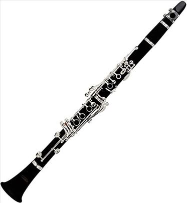 Privatni časovi klarineta
