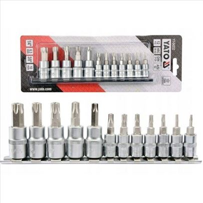 Set Torx T8-T55  