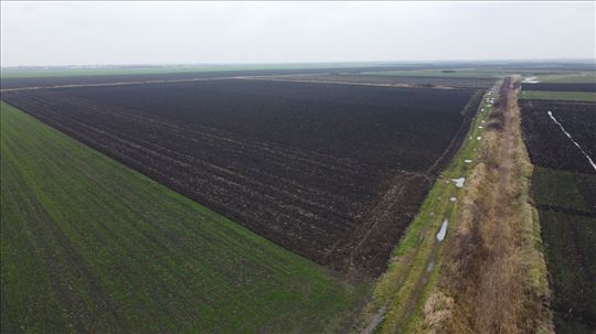 Poljoprivredno zemljište Buđanovci 15 jutara hitno