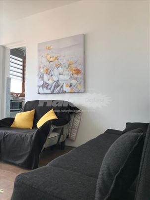 Kod Vuka Zira  1.0 cg renoviran udoban 30 m2