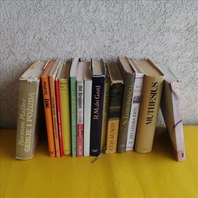 Lot 15 knjiga Beletristika