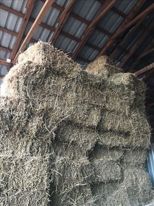 Bale od deteline lucerke 