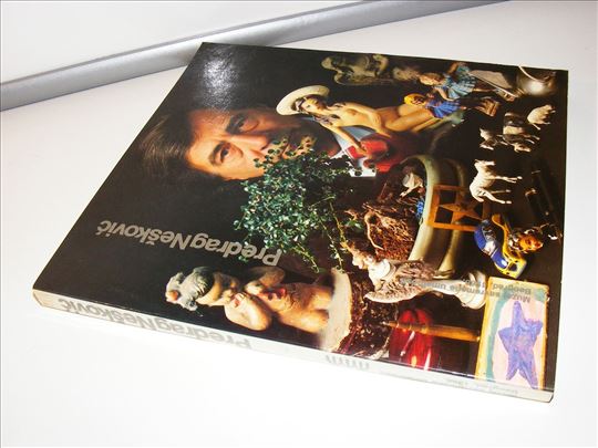 Predrag Nešković, Muzej savremene umetnosti