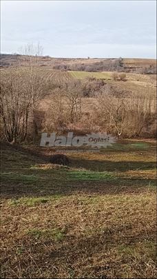 Plac 44 Ara Čerević