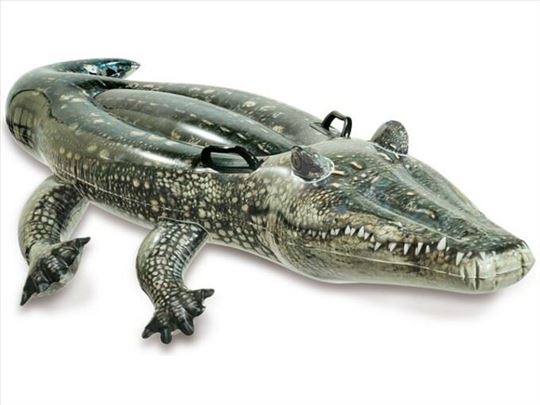 57551 Intex aligator 1,70m x 86cm