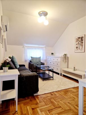 Jednoiposoban stan, namešten, renoviran, Kneževac