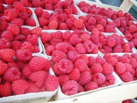 Pet ambalaža za pakovanje hrane