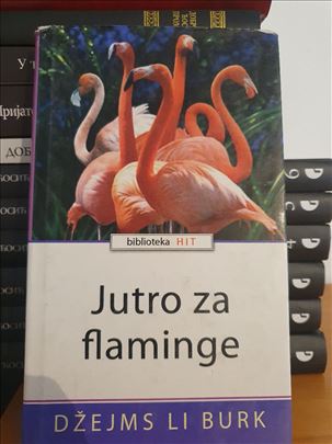 Jutro za flaminge - Dzejms Li Burk