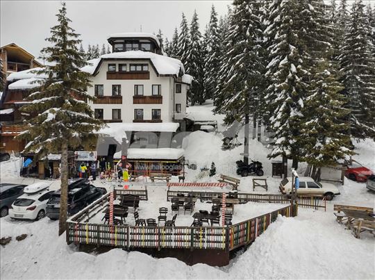 Vila Mina, Kopaonik