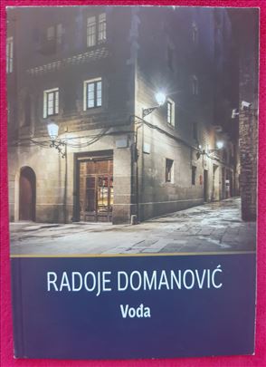 Vođa - Radoje Domanović 