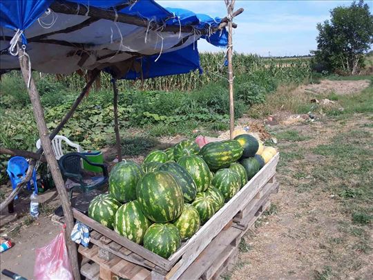 Prodaja lubenica