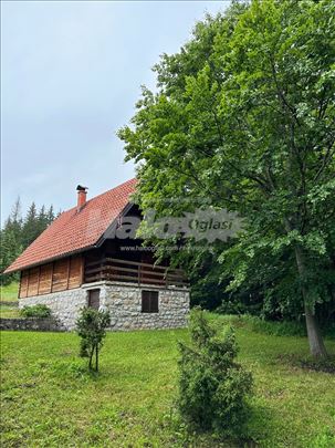 Planinska kuća na Tari - Mitrovac
