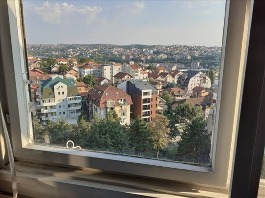 Ustanicka/BULEVAR Kralja Aleksandra PET FRIENDLY 