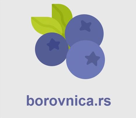 Prodajem domen borovnica.rs
