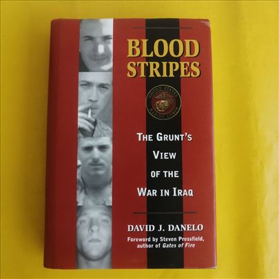 Blood Stripes -The Grunt's View of the War in Iraq