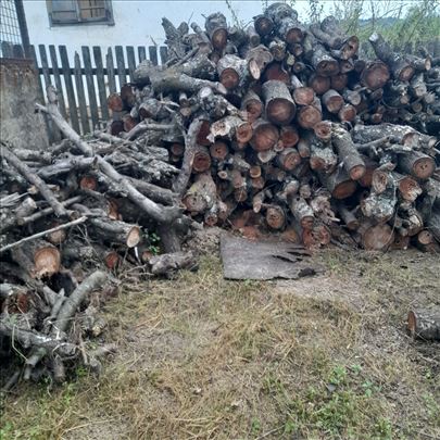 Drva i panjevi od šljive za  ogrev i sušenje mesa