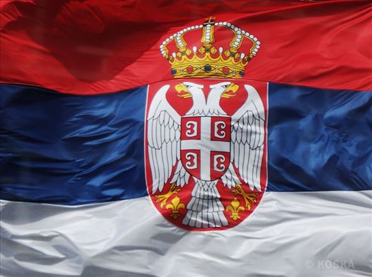 Zastava Srbije, više dimenzija