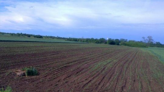 Poljoprivredno zemljiste