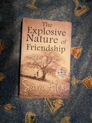 The explosive nature of friendship Sara Alexi