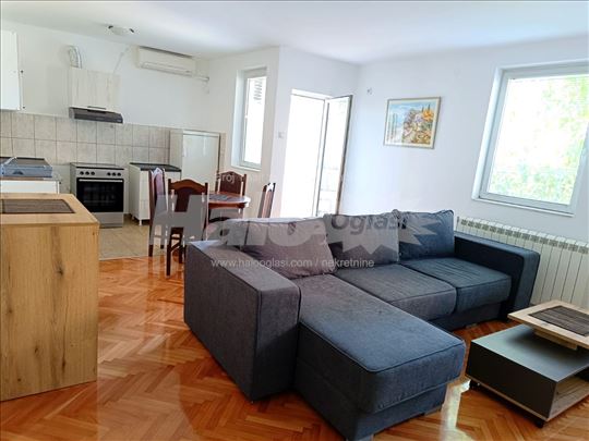 Dvosoban stan za izdavanje, Bogoslovija, 53m