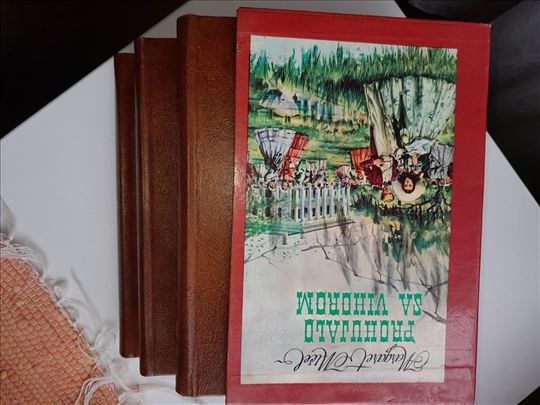 Prohujalo sa vihorom, tri knjige