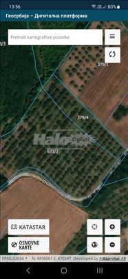 Prodajem njivu pod vocem od 76 ari.