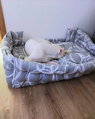 Krevet za velike rase pasa, Premium king size 