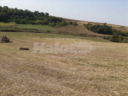 Poljoprivredno zemljište