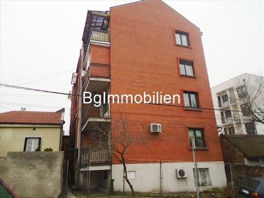 Bulbulder sa niskim režijama, pet friedly