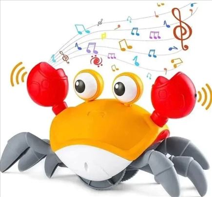 Setajuca muzicka kraba novo hit igracka za decu 