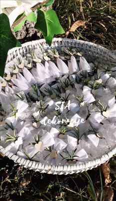 Cvetici za kicenje svatova