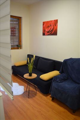 Stan na dan u centru Zemuna - My sweet home