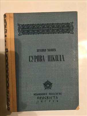 Branko Ćopić ,,Surova škola"