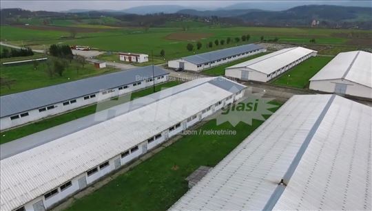 Hala 1.530m2 uz novi Moravski auto-put