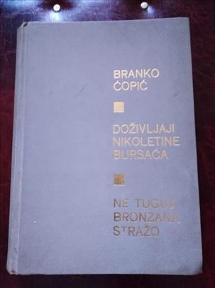 Doživljaji Nikoletine Bursaća - Branko Ćopić