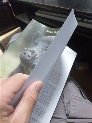 Lovačka knjiga Divlja svinja