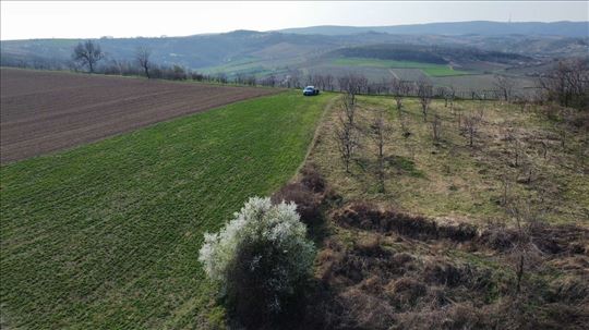 Poljoprivredno zemljište, Sremski Karlovci, 4539m2