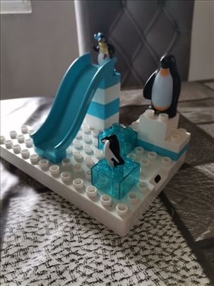 Pingvin tobogan kocke