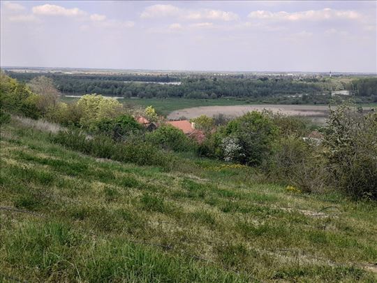 Poljoprivredno zemljište u Čerevića, 23a, hitno