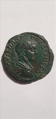 Gordian III Lep, Ređi. ²³¹