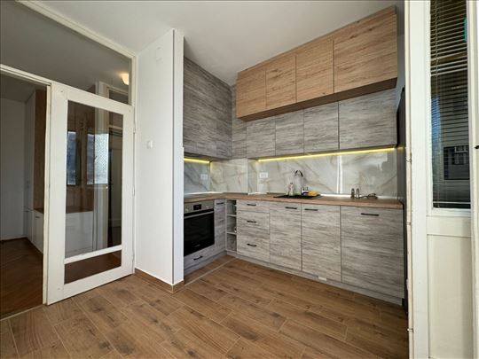 Zvezdara, Lion, stan, izdavanje