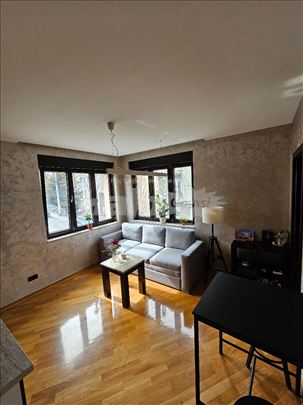 Lepo sređen stan,nov nameštaj,niski mesečni trošak